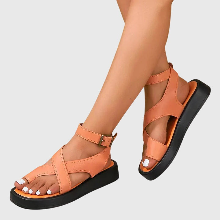 Orange / 43